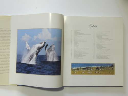 Mkambati and the Wild Coast: South Africa and Pondoland - D de Villiers, J Costello