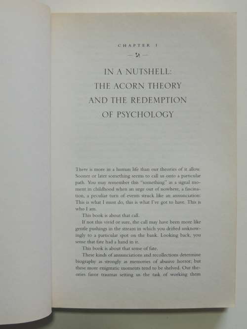 The Soul`s Code - In Search of Character and Calling- James Hillman