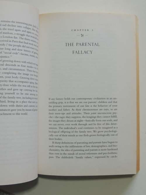 The Soul`s Code - In Search of Character and Calling- James Hillman