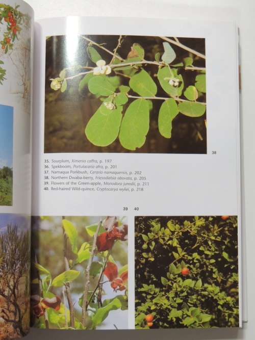 TREES of Southern Africa - 3rd Ed. - Keith and Meg Coates Palgrave