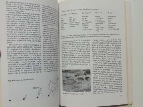 Woodworking Basics 3 - Timber -Rik Middleton