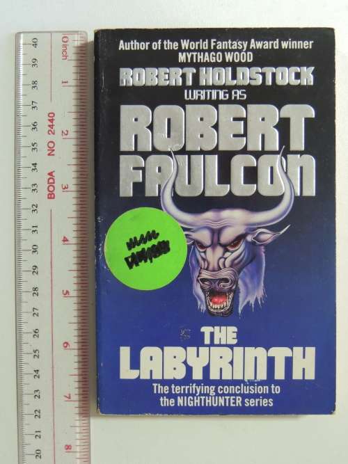 The Labyrinth - Robert Faulcon (Robert Holdstock)