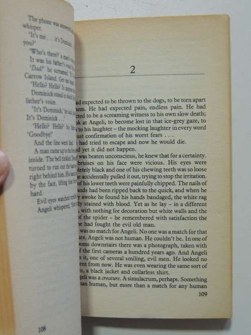 The Labyrinth - Robert Faulcon (Robert Holdstock)