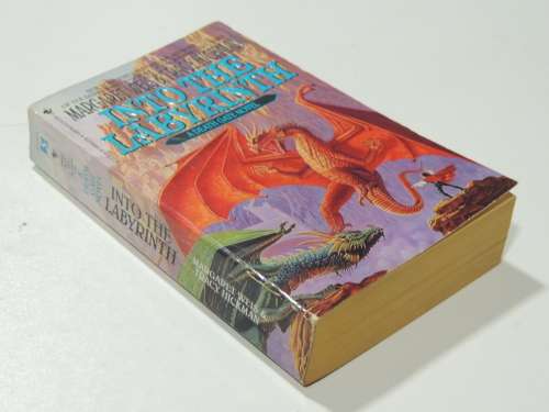 Into The Labyrinth - A Death Gate Novel - Margaret Weiss, Tracy Hickman