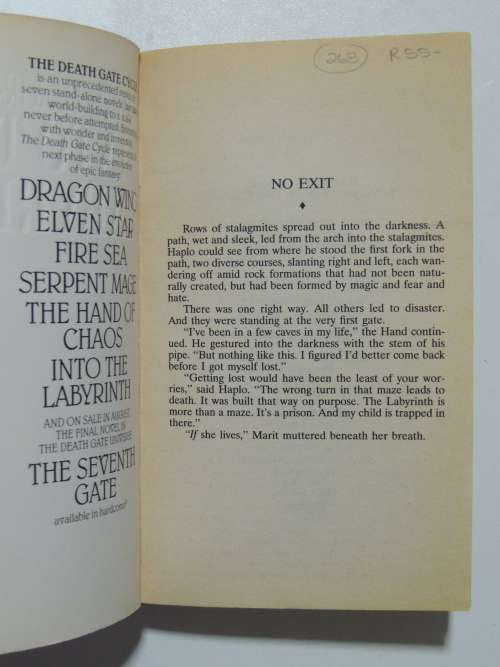 Into The Labyrinth - A Death Gate Novel - Margaret Weiss, Tracy Hickman