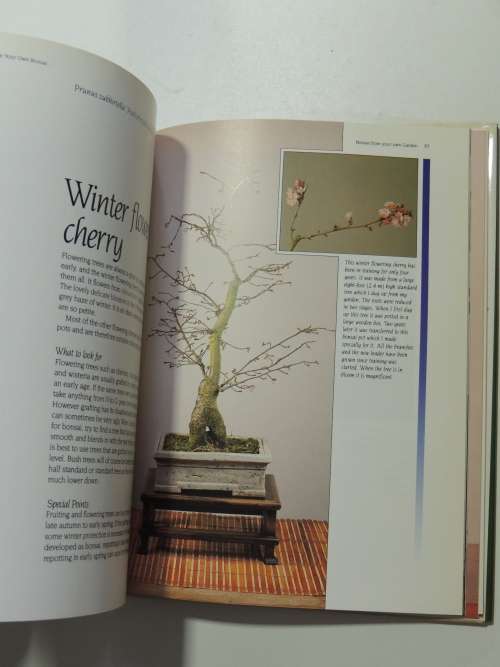 The Complete Book of Bonsai - A Practicl Guide to the Art & Cultivation of Bonsai - Harry Tomlinson
