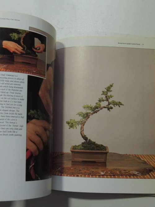 The Complete Book of Bonsai - A Practicl Guide to the Art & Cultivation of Bonsai - Harry Tomlinson