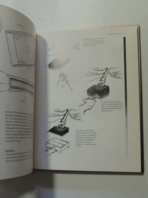 The Complete Book of Bonsai - A Practicl Guide to the Art & Cultivation of Bonsai - Harry Tomlinson