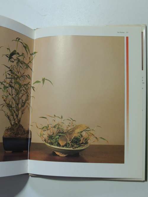 The Complete Book of Bonsai - A Practicl Guide to the Art & Cultivation of Bonsai - Harry Tomlinson