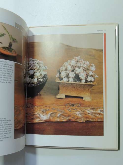 The Complete Book of Bonsai - A Practicl Guide to the Art & Cultivation of Bonsai - Harry Tomlinson