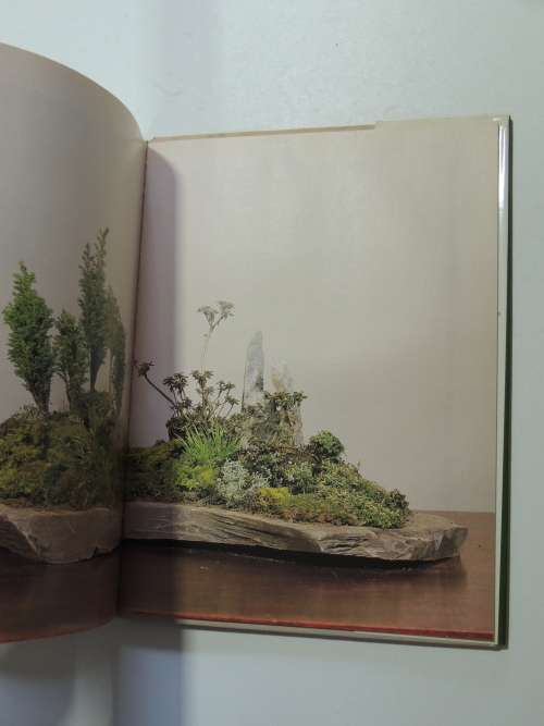 The Complete Book of Bonsai - A Practicl Guide to the Art & Cultivation of Bonsai - Harry Tomlinson