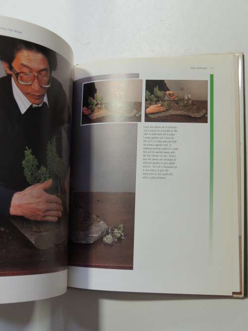 The Complete Book of Bonsai - A Practicl Guide to the Art & Cultivation of Bonsai - Harry Tomlinson