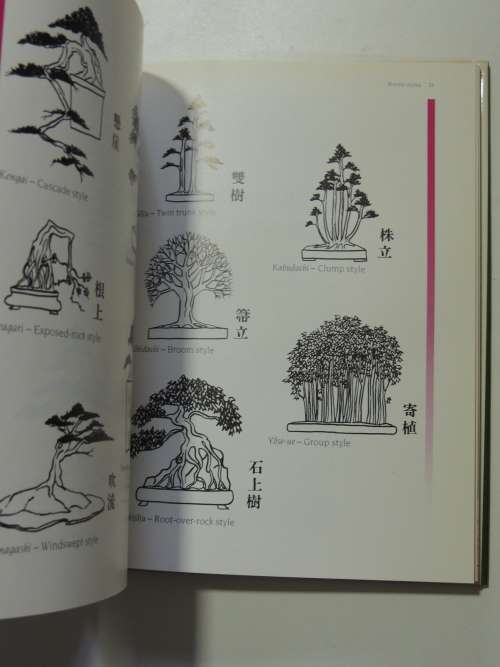 The Complete Book of Bonsai - A Practicl Guide to the Art & Cultivation of Bonsai - Harry Tomlinson