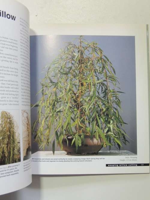 Bonsai Life Histories - The Lives of Over 50 Bonsai Trees in Photos & Words - Martin Treasure