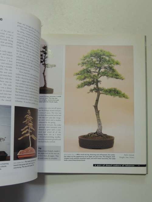 Bonsai Life Histories - The Lives of Over 50 Bonsai Trees in Photos & Words - Martin Treasure