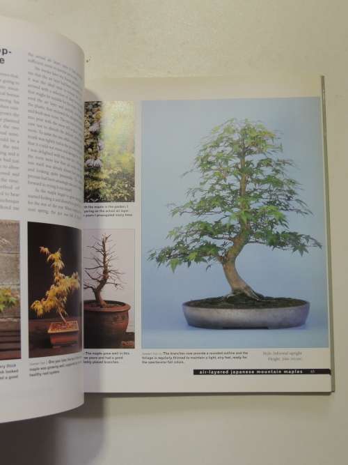 Bonsai Life Histories - The Lives of Over 50 Bonsai Trees in Photos & Words - Martin Treasure