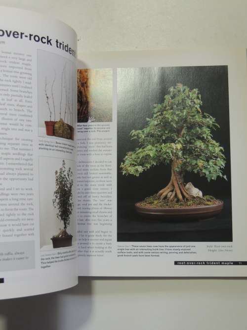 Bonsai Life Histories - The Lives of Over 50 Bonsai Trees in Photos & Words - Martin Treasure