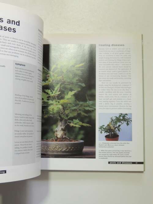 Bonsai Life Histories - The Lives of Over 50 Bonsai Trees in Photos & Words - Martin Treasure