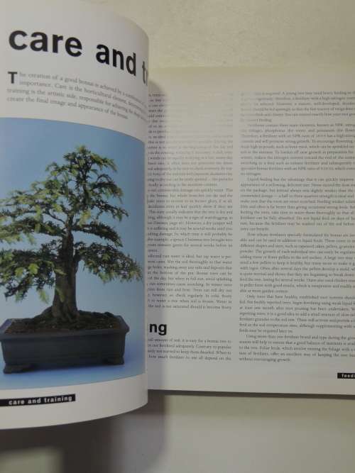 Bonsai Life Histories - The Lives of Over 50 Bonsai Trees in Photos & Words - Martin Treasure