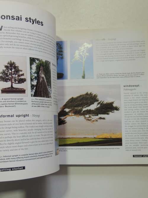 Bonsai Life Histories - The Lives of Over 50 Bonsai Trees in Photos & Words - Martin Treasure