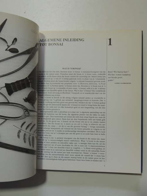 Bemeester Bonsai Pieter Loubser