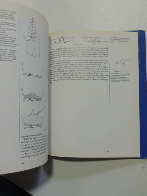 Bemeester Bonsai Pieter Loubser