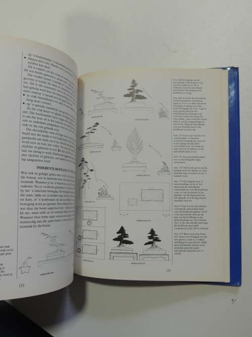 Bemeester Bonsai Pieter Loubser