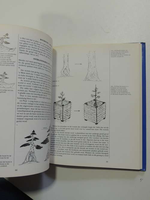 Bemeester Bonsai Pieter Loubser