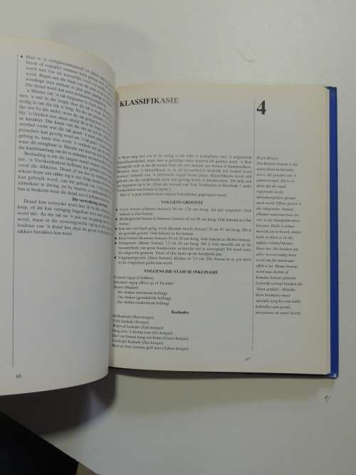 Bemeester Bonsai Pieter Loubser