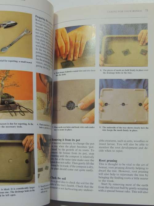 Growing Bonsai in South Africa - Doug Hall