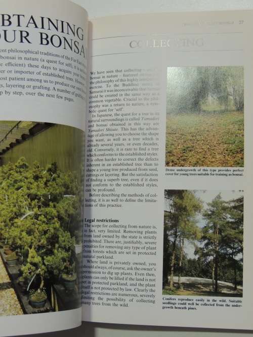 Growing Bonsai in South Africa - Doug Hall