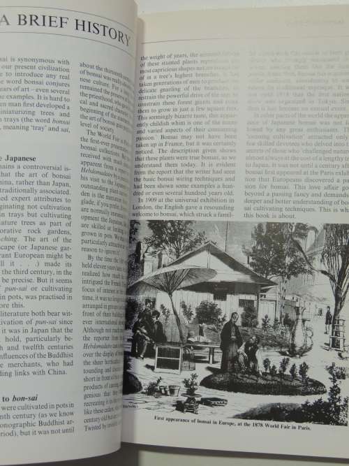 Growing Bonsai in South Africa - Doug Hall