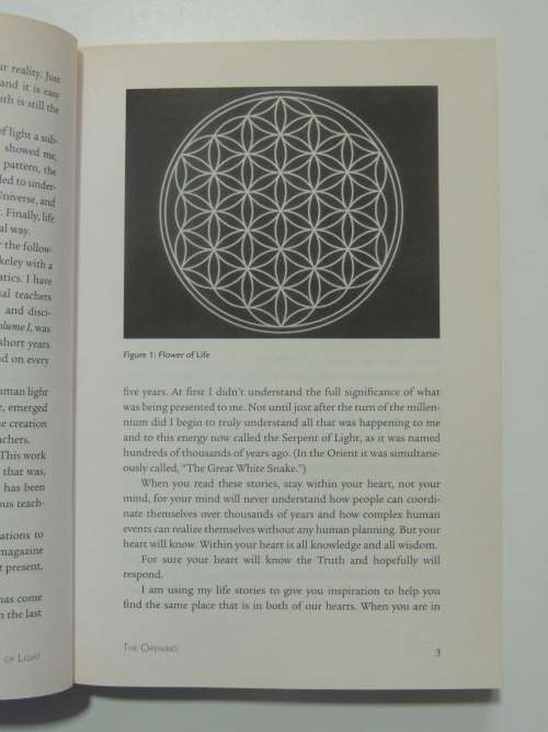 Serpent of Light -Beyond 2012 -The Movememnt ofEarth`s Kundalini & the Rise of -Drunvalo Melchizedek