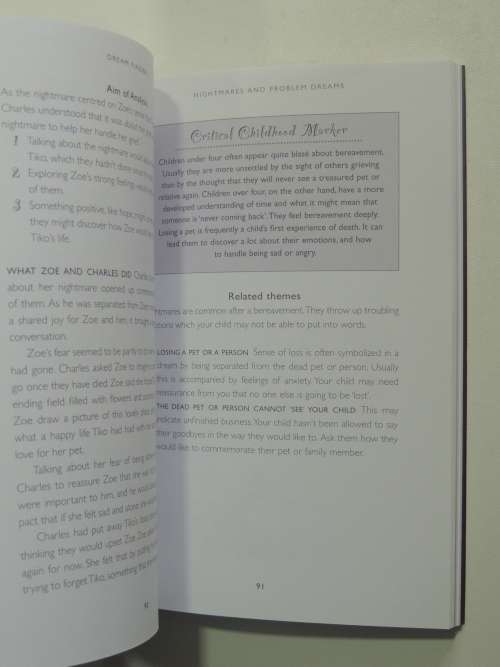 Your Child`s Dreams - A Parent and Child Workbook - Dr Pam Spurr