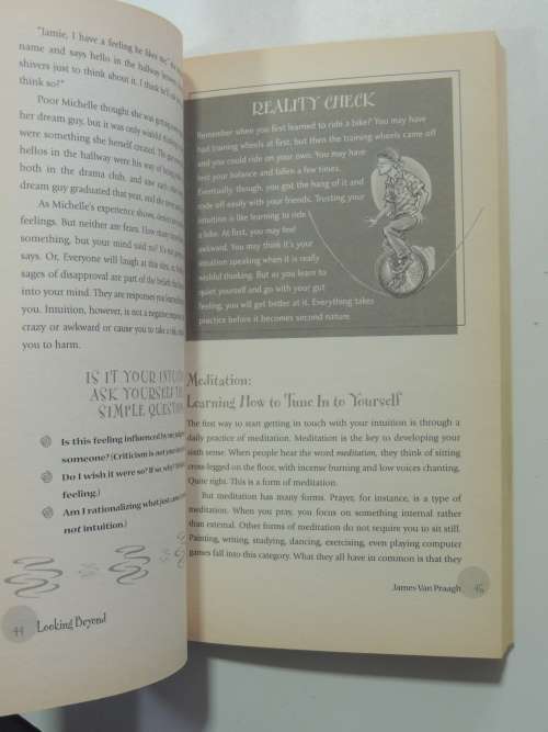 Looking Beyond - How to Use Your Psychic Talent to Get What you Want Out Of Life - James van Praagh