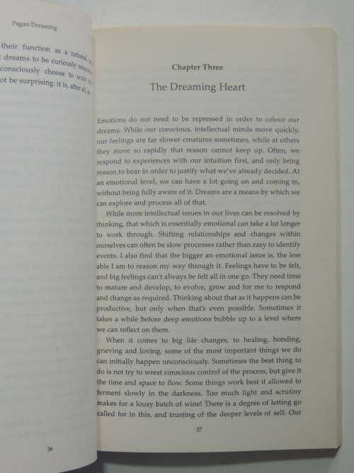 Pagan Dreaming - The Magic of Consciousness - Nimue Brown