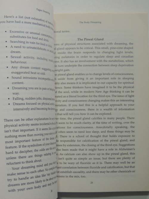Pagan Dreaming - The Magic of Consciousness - Nimue Brown