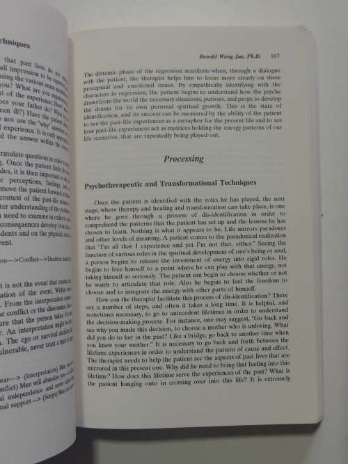 Regression Therapy A Handbook For Professionals  2 Volumes - Winafred Blake Lucas PhD