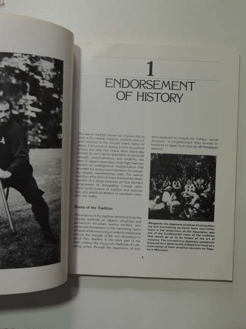 Ninjutsu - The Art of the Invisible Warrior  - Stephen K Hayes