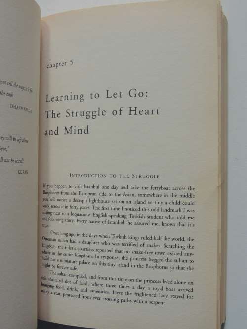 The Five Stages ofthe Soul -For Everyone Who has Ever Asked, `Is This It?` -Harry Moody, David Carol