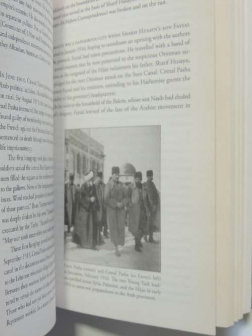 The Fall of the Ottomans, The Great War in the Middle East 1914-1920 - Eugene Rogan