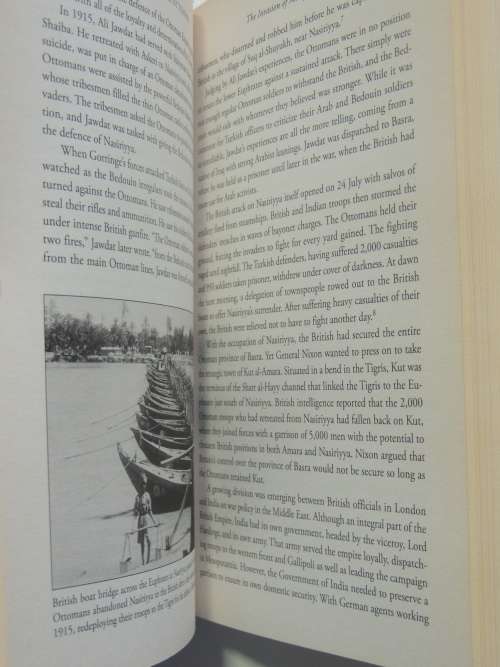 The Fall of the Ottomans, The Great War in the Middle East 1914-1920 - Eugene Rogan