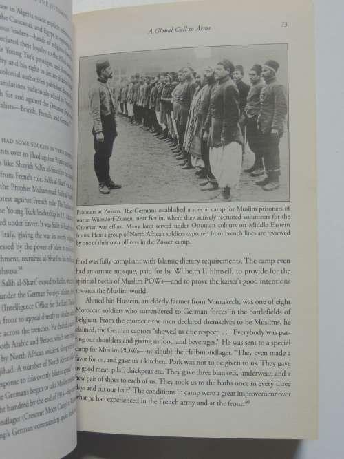 The Fall of the Ottomans, The Great War in the Middle East 1914-1920 - Eugene Rogan