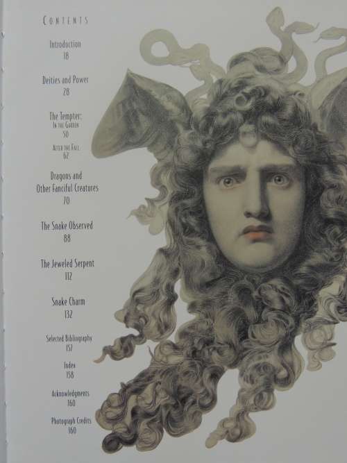 Snake Charm - Marilyn Nissenson, Susan Jonas