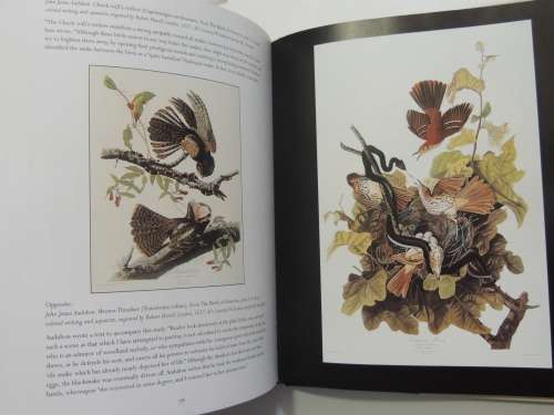 Snake Charm - Marilyn Nissenson, Susan Jonas