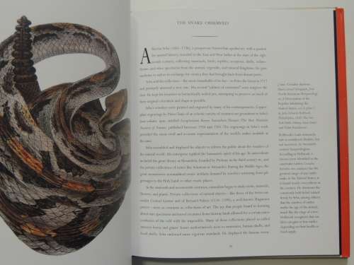 Snake Charm - Marilyn Nissenson, Susan Jonas