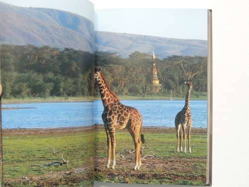 Safari Style - Exteriors, Interiors, Details - Angelika Taschen