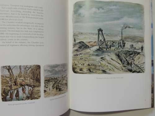 In The Common Interest - The Story Of The Transvaal & Orange Free State Chamber Of Mines