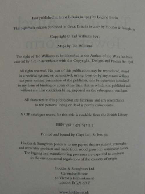 To Green Angel Tower: Storm - Memory, Sorrow & Thorn Book 4 - Tad Williams