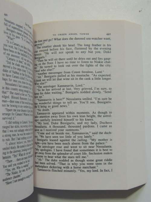 To Green Angel Tower: Storm - Memory, Sorrow & Thorn Book 4 - Tad Williams